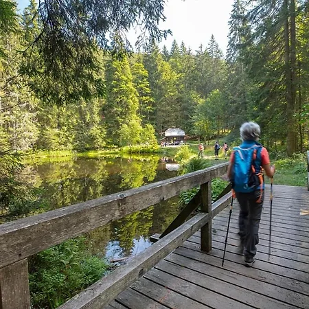 Nr 17, Typ B, Jaegerpark, Bayerischer Wald