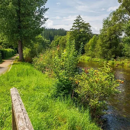 Nr 17, Typ B, Jaegerpark, Bayerischer Wald Σπίτι διακοπών *