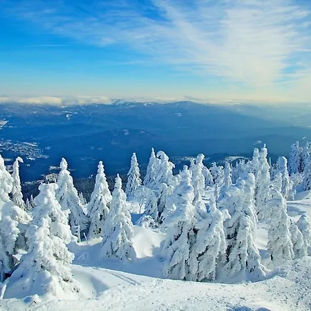 Nr 17, Typ B, Jaegerpark, Bayerischer Wald Σπίτι διακοπών Viechtach