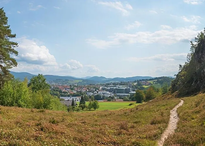 Nr 17, Typ B, Jaegerpark, Bayerischer Wald Viechtach