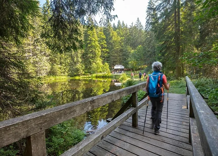 Nr 17, Typ B, Jaegerpark, Bayerischer Wald