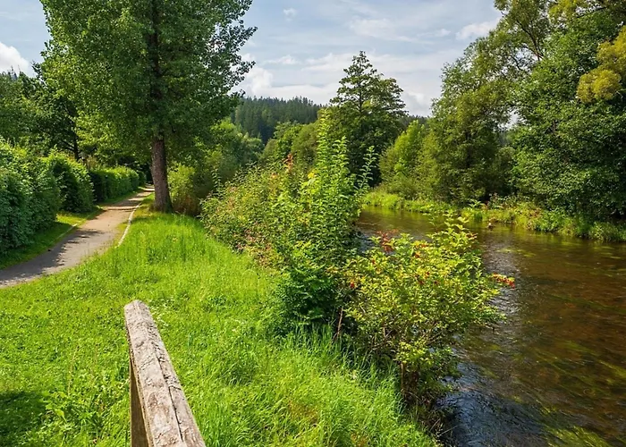 Nr 17, Typ B, Jaegerpark, Bayerischer Wald Feriehus *
