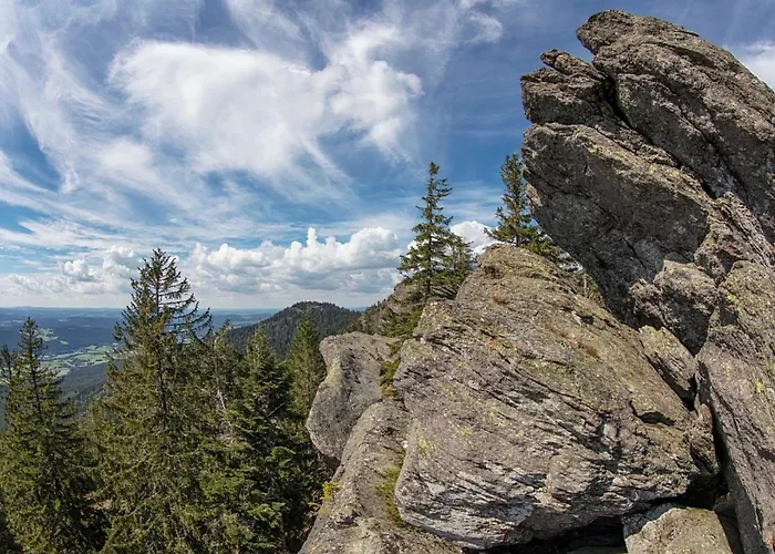 Nr 17, Typ B, Jaegerpark, Bayerischer Wald Feriehus