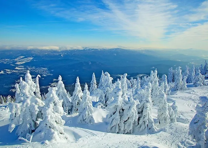 Nr 17, Typ B, Jaegerpark, Bayerischer Wald Feriehus Viechtach
